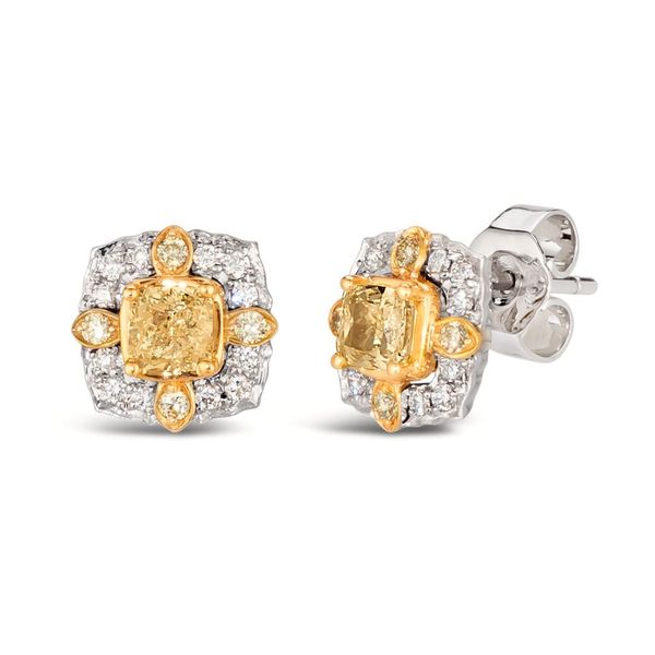Platinum Earrings