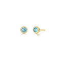 December Bezel Birthstone Earrings