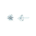 14k White Gold Solitaire Earrings