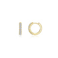 Alexa Huggie Earrings