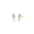 Prismatic Earrings