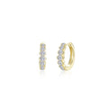 Small Willow Hoop Earrings