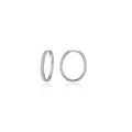 Small Alina Oval Hoop Earrings