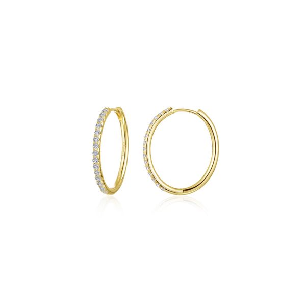 Medium Alina Oval Hoop Earrings