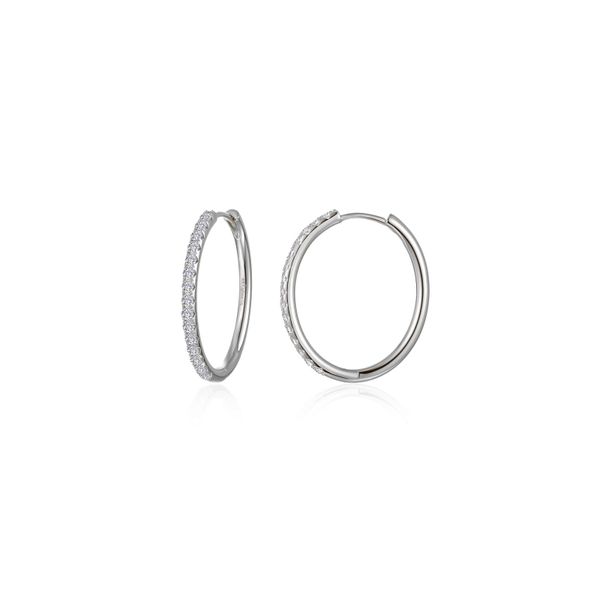 Medium Alina Oval Hoop Earrings