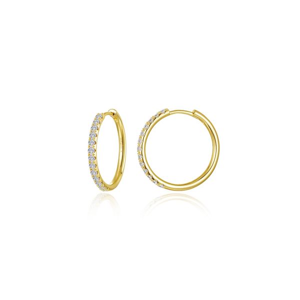Medium Alina Round Hoop Earrings