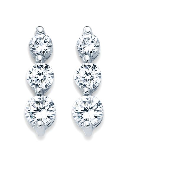 14k White Gold Earrings
