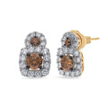 Platinum And 14k Honey Gold™ Earrings