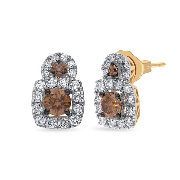 Platinum And 14k Honey Gold™ Earrings