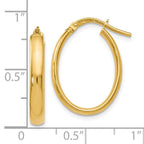 Leslie's 14K Polished Oval Hoop Earrings - Image 4