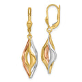 Leslie's 14K Tri-Color Polished Dangle Leverback Earrings