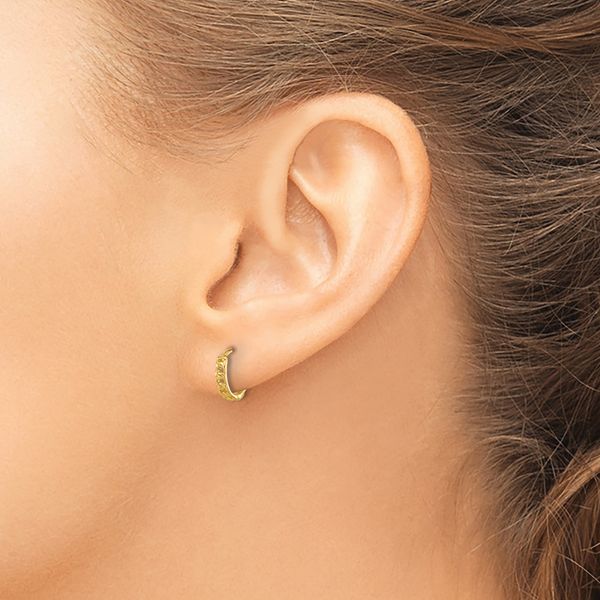 Leslie's 14K Polished Curb Link Round Hinged Hoop Earrings - Image 3