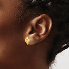 Leslie's 14K Polished and Brushed Fancy Post Earrings - Image 3