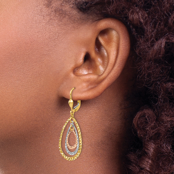 Leslie's 14K Tri-color Polished and D/C Leverback Earrings - Image 3