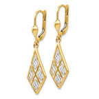Leslie's 14K with Rhodium D/C Leverback Earrings - Image 2