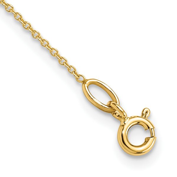 Leslie's 14K Polished with 2in. ext. Necklace - Image 3