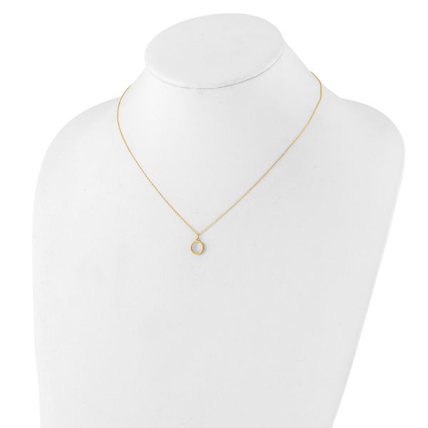 Leslie's 14K Polished Mother of Pearl Circle Necklace - Image 3