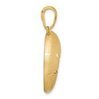 Leslie's 14k Satin D/C Nautilus Shell Pendant - Image 2