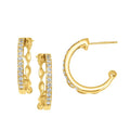 10k Yellow Gold Hoop Earrings