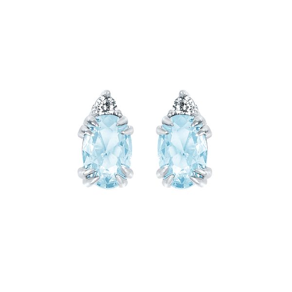 10k White Gold Gemstone Earrings