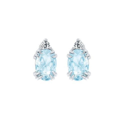 10k White Gold Gemstone Earrings