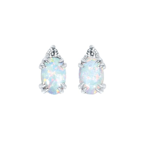 10k White Gold Gemstone Earrings