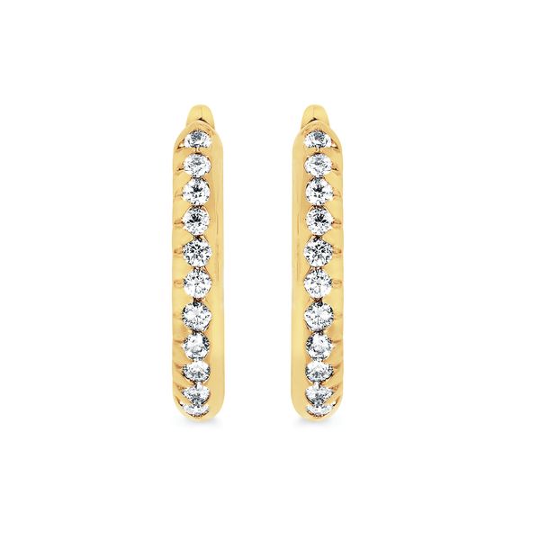 14k Yellow Gold Hoop Earrings