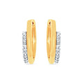 14k Yellow Gold Hoop Earrings