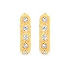14k Yellow Gold Hoop Earrings