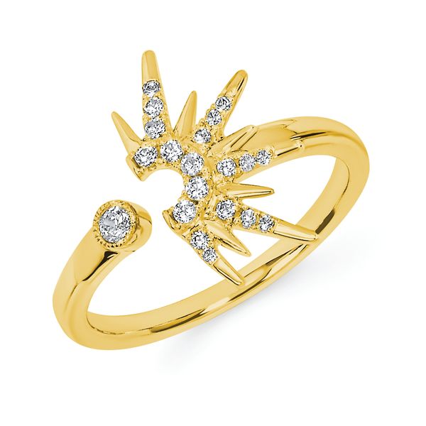 14k Yellow Gold Fashion Ring