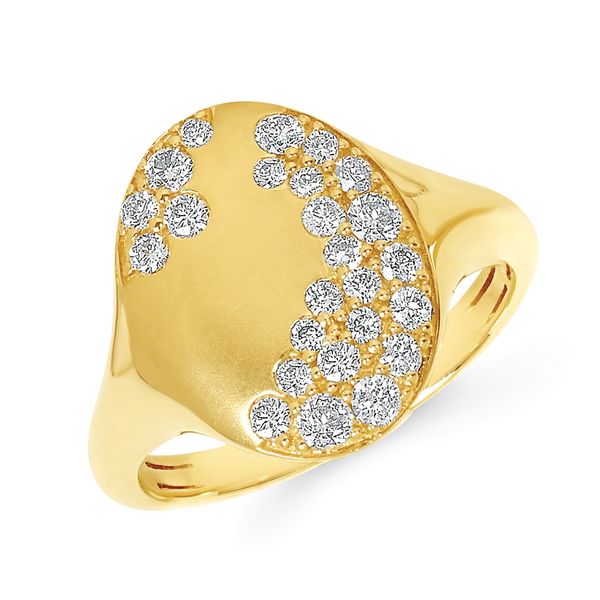 14k Yellow Gold Fashion Ring