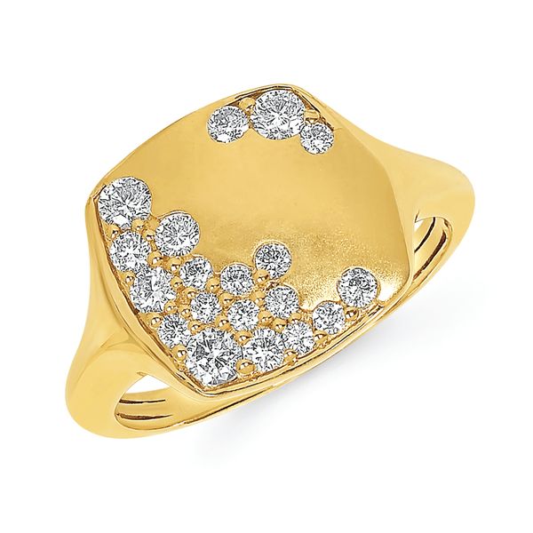 14k Yellow Gold Fashion Ring