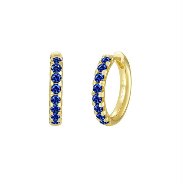 Madison Hoop Earrings