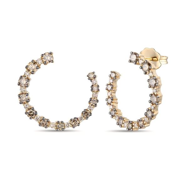 14k Honey Gold™ Earrings