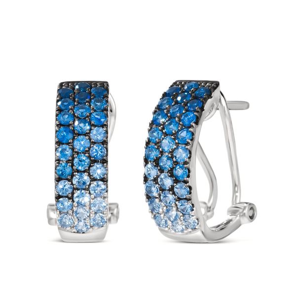 14k Vanilla Gold® Earrings